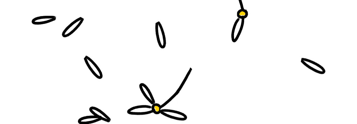 daisy-petals-1